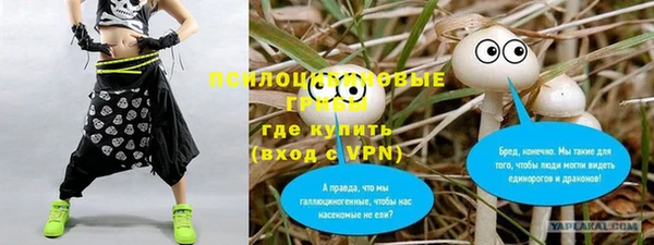 мяу мяу мука Бугульма