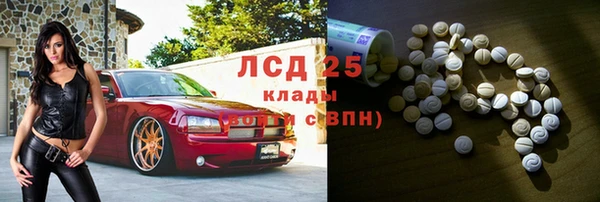 мяу мяу мука Бородино